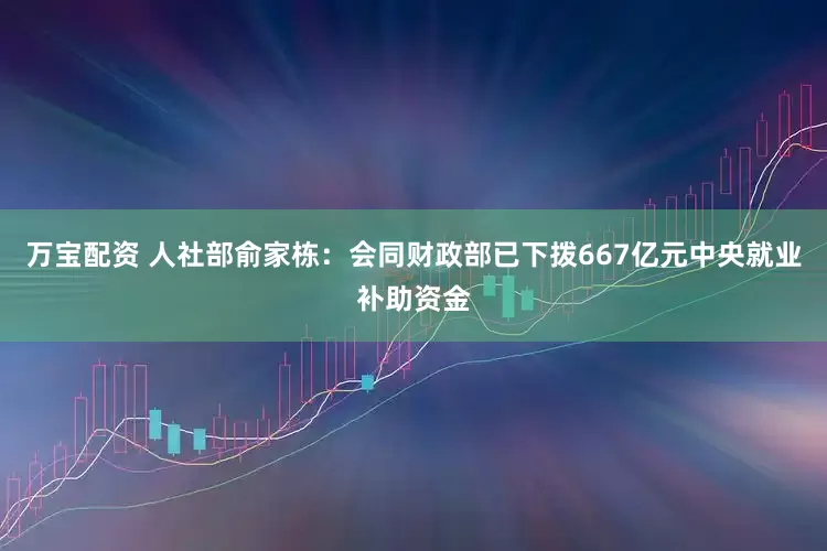万宝配资 人社部俞家栋：会同财政部已下拨667亿元中央就业补助资金