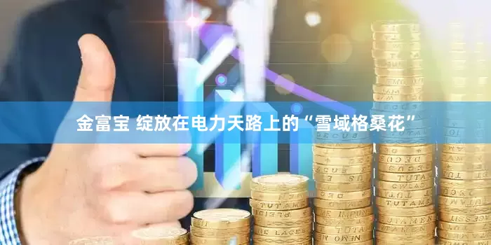 金富宝 绽放在电力天路上的“雪域格桑花”