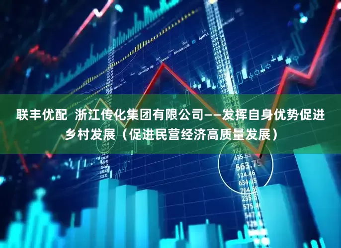 联丰优配  浙江传化集团有限公司——发挥自身优势促进乡村发展（促进民营经济高质量发展）