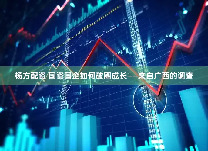 杨方配资 国资国企如何破圈成长——来自广西的调查