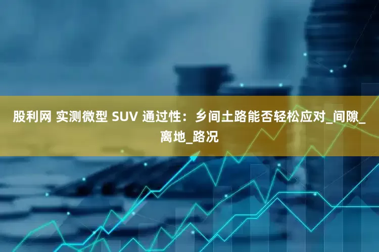 股利网 实测微型 SUV 通过性：乡间土路能否轻松应对_间隙_离地_路况